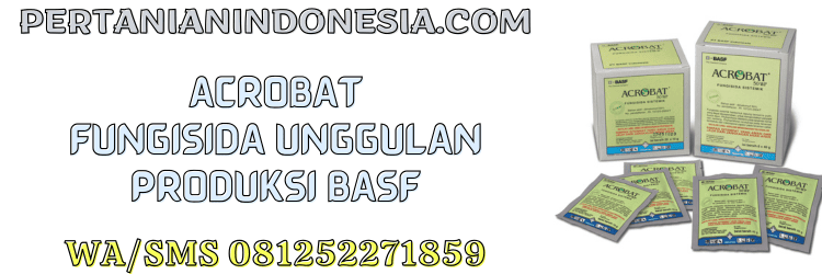 acrobat,fungisida,pestisida,basf,pertanian indonesia